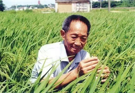 一日三餐，米香彌漫，飽食者當(dāng)憶袁公！