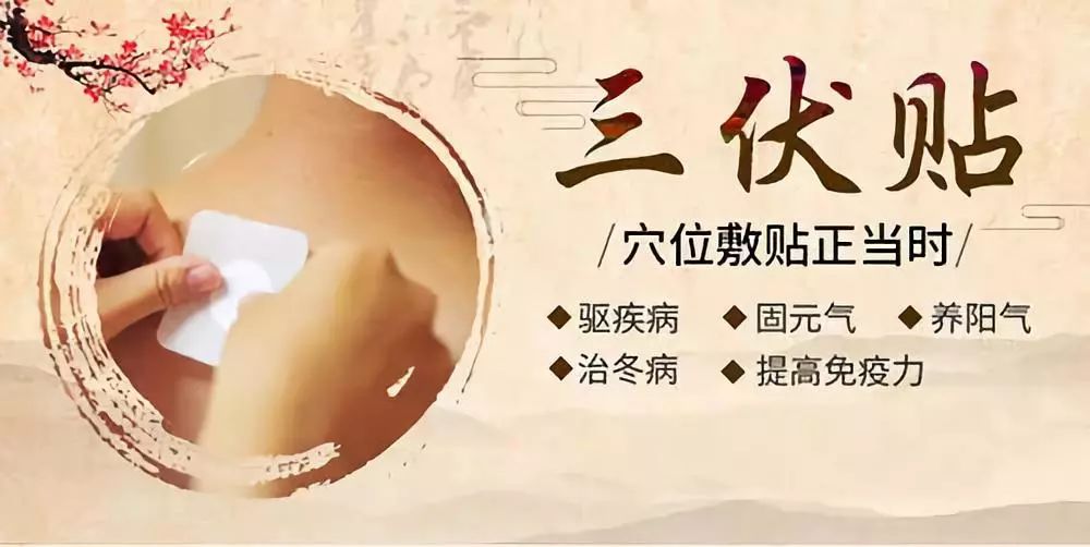 關(guān)于三伏貼，你了解多少呢？