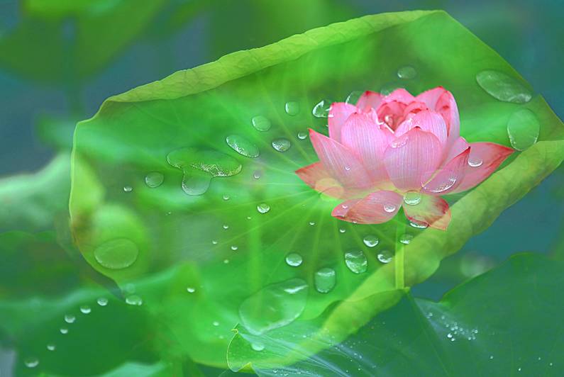 醫(yī)療器械網(wǎng)：失眠該怎么辦？